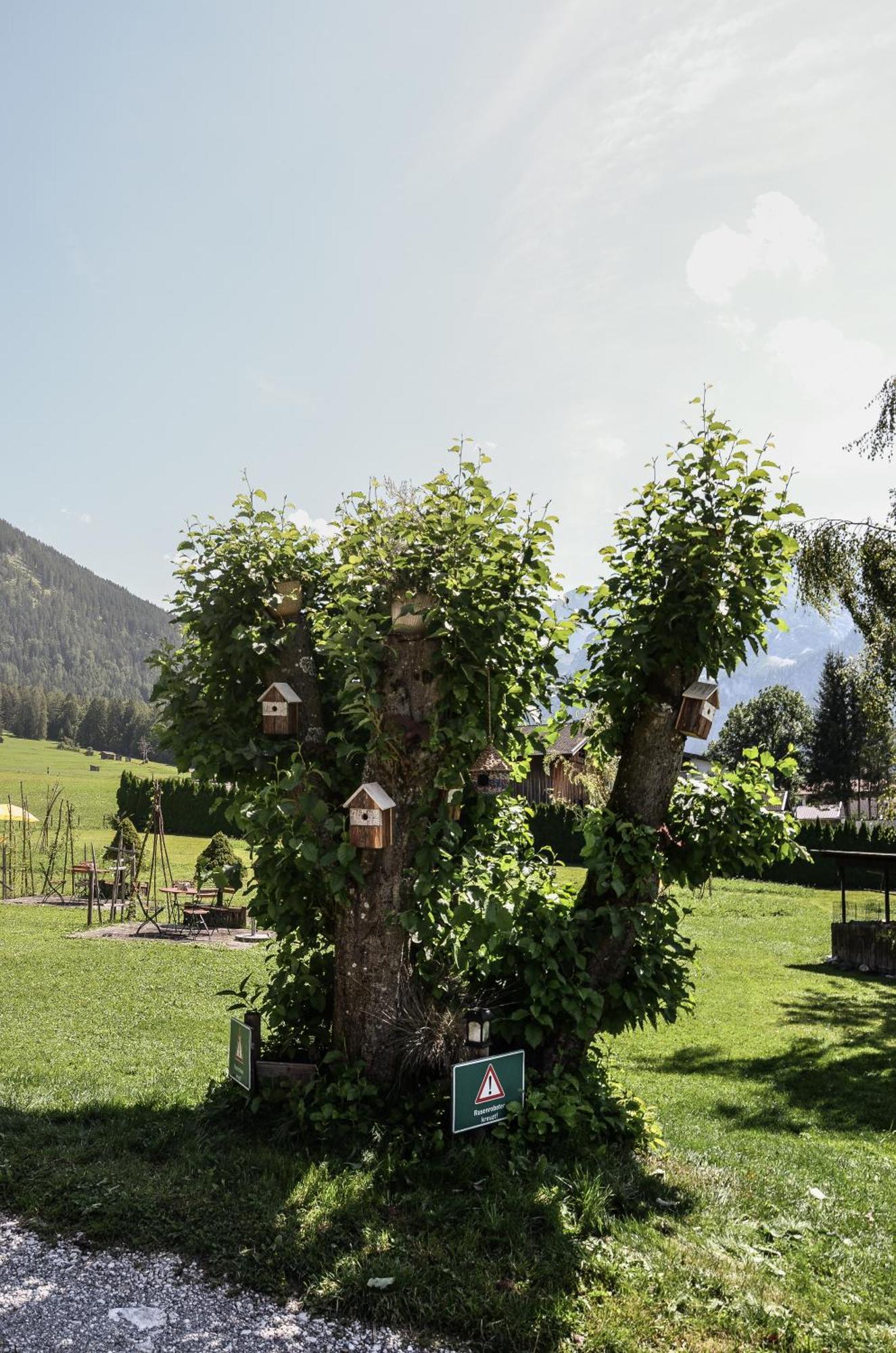 Hotel Ehrwalderhof מראה חיצוני תמונה